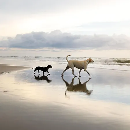 Holiday home Baywatch And Baybreak - Two 3 Bedroom Cottages Nearby - Seaview To Baywatch - Part Of The The Bay Filey Holiday Village With Pool, Gym And Direct Beach Access, Pub, Restaurant, Tennis And Meadows Walks Filey